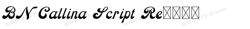 BN Callina Script Re字体转换